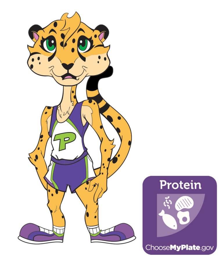 Illustration of Kids Crew character Chia along side protein food group icon
