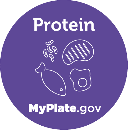 My Plate Protein