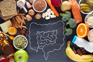Illustration intestines surrounded by fruits, vegetables, grains and milk bottle