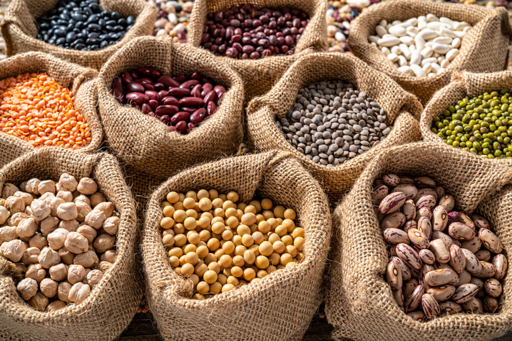 Photo of legumes including chickpeas, red, black and pinto beans.